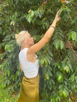 Big Island Coffee Sourcing - What makes Kona Coffee so special?